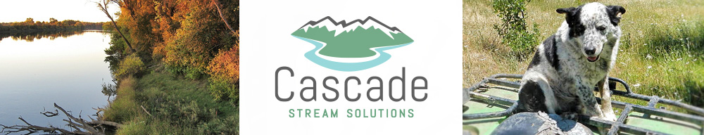 Cascade Stream Solutions